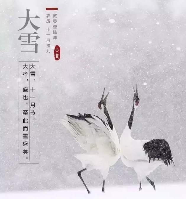 今日大雪说说朋友圈配图 今天大雪带字图片素材壁纸