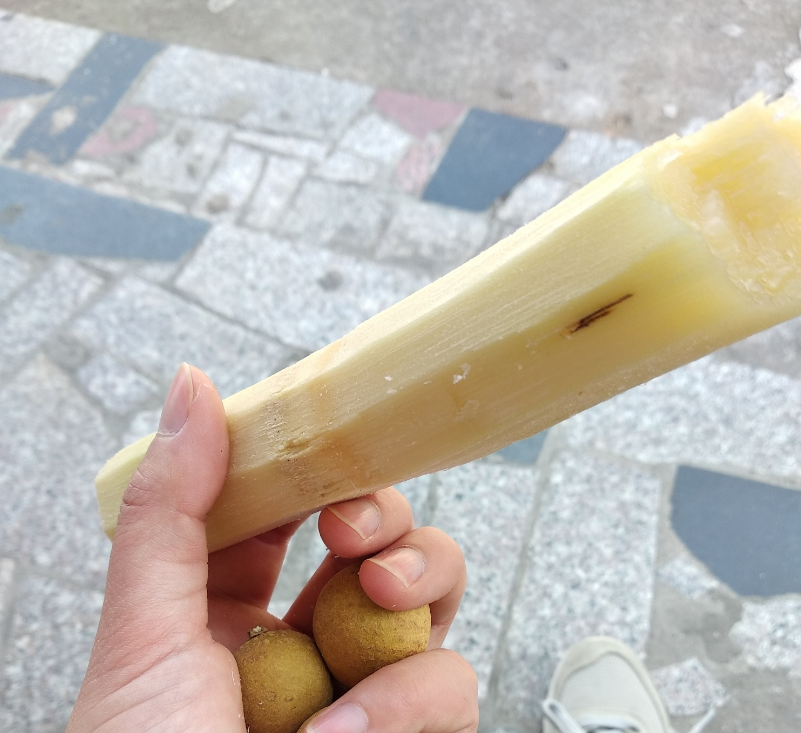 甘蔗中间发褐色能吃吗(甘蔗心颜色深能吃吗)_社区互动_开创问答网