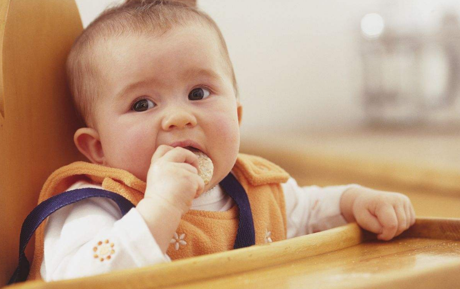 小孩吃什麼點心有營養(適合寶寶吃的點心有哪些)_社區互動_開創問答網