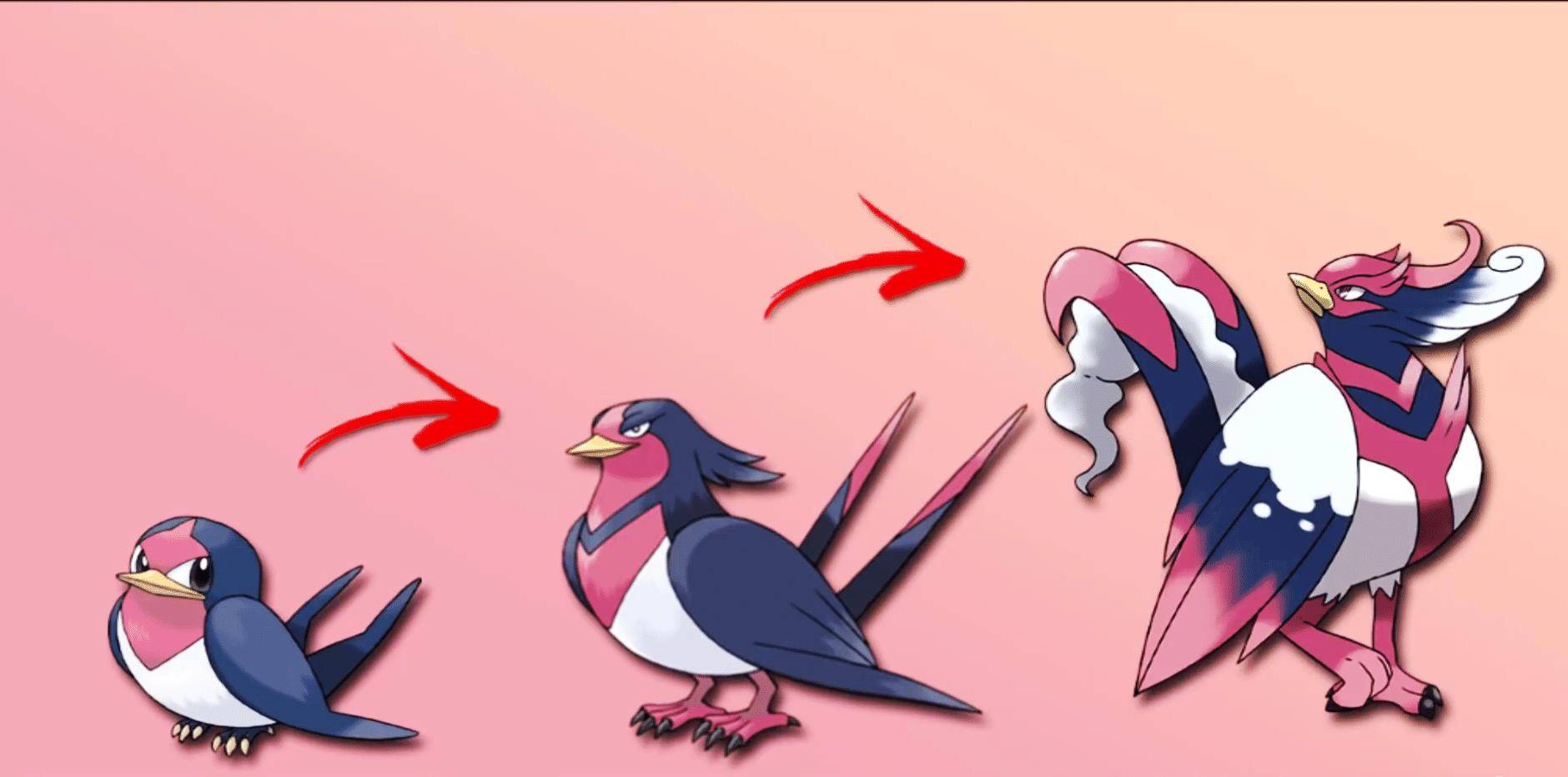 大王燕进化图图片