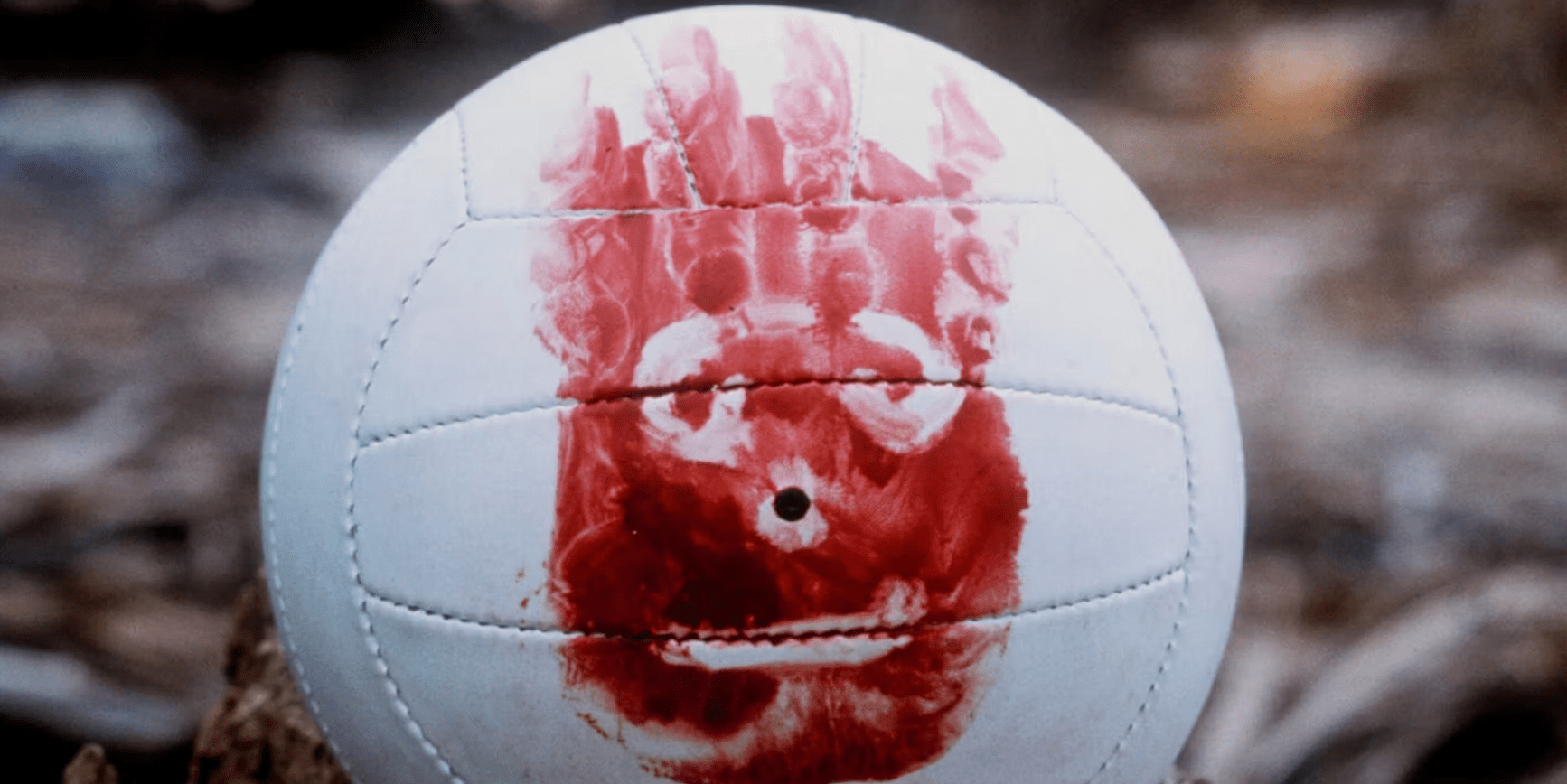 《荒岛余生》的,应该会心一笑,此角色致敬了电影里的排球"威尔逊"