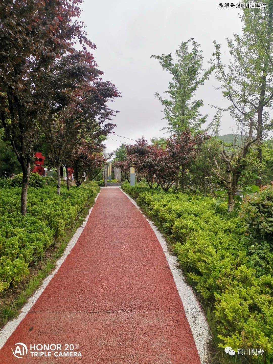 雨后的铜川王家河湿地公园【手机随手拍】_生活资讯_百兆生活网