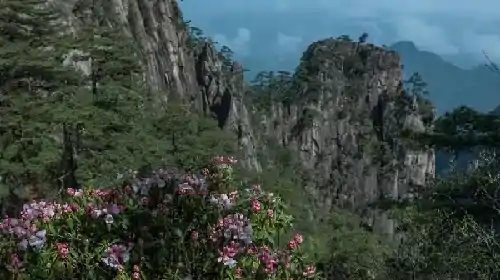 经典山水句子，山水的句子19条，赠君明月满前溪，直到西湖畔