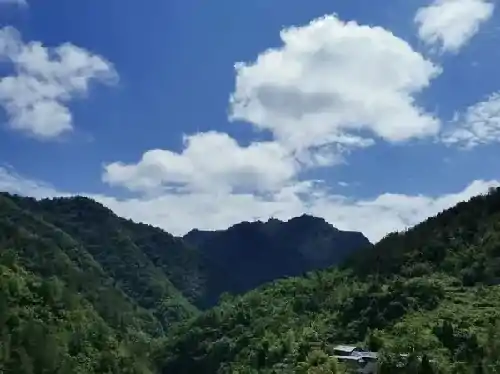 伍乔