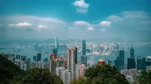 喵果总动员除了红包还有何优惠?喵树大挑战组队pk如何退队抢购攻略，天猫喵果总动员喵树大挑战怎么赢红包？