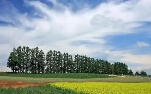 客服也分人力外包和项目外包吗 客服外包公司为淘宝网店带来什么
