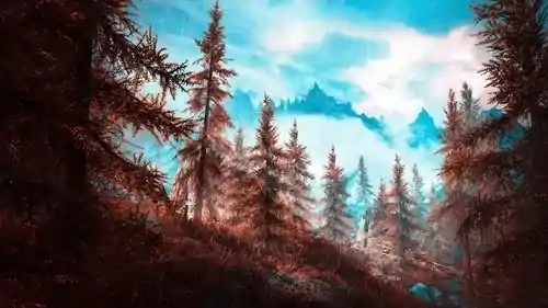 释绍嵩